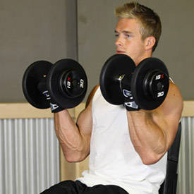 Seated Dumbbell Curl