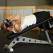 Weighted Incline Sit-Up