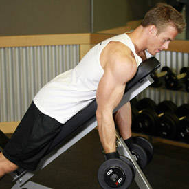 Dumbbell Prone Incline Curl