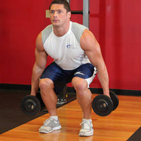 http://www.bodybuilding.com/exercises/exerciseImages/sequences/85/Male/m/85_2.jpg
