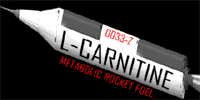 L-Carnitina - Metabolic Rocket Fuel