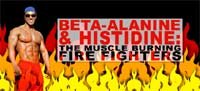 Beta-alanina e histidina: o músculo queima Bombeiros!