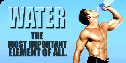 Water: The Most Important Element Of All.