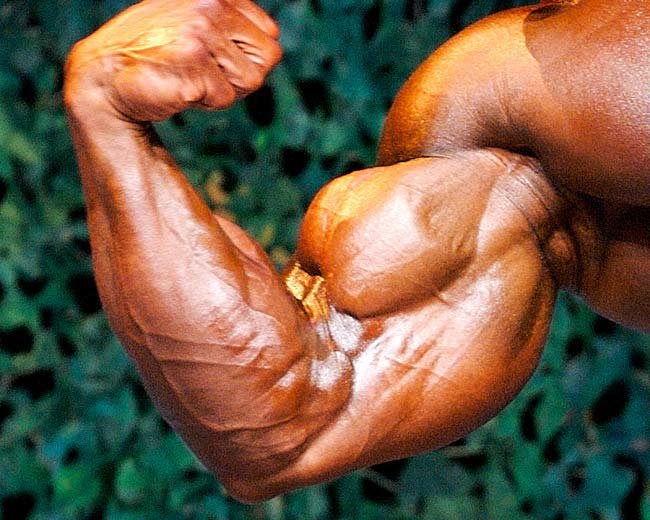 Building Huge Arms Super Feature: Biceps.