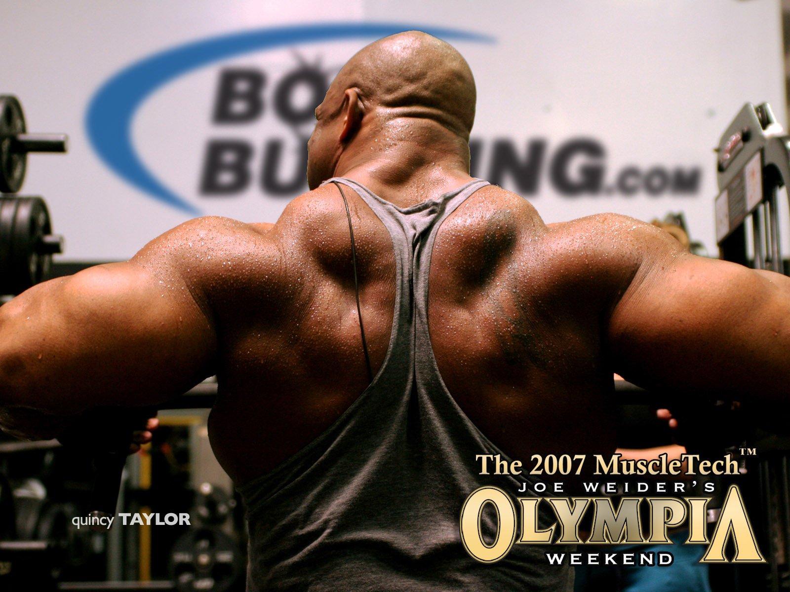 body building wallpapers
