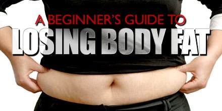 A Beginner's Guide To Losing Body Fat!