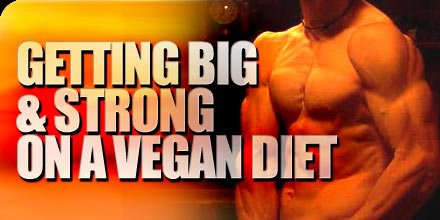 Getting Big & Strong On A Vegan Diet!