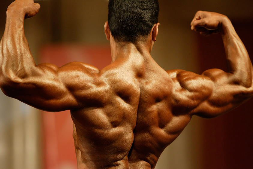Bodybuilder Back Muscles