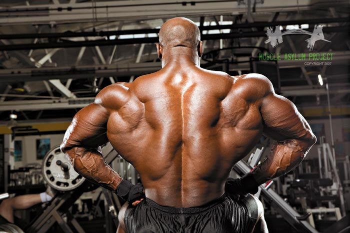 Joel Stubbs Back Training: His Routine For A Massive Back!