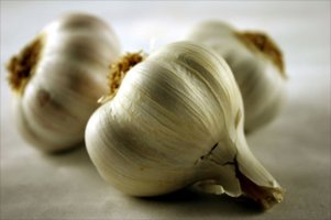 Garlic Can Cure Inflammations Of The Stomach And Intestine, Including The Candida Yeast.