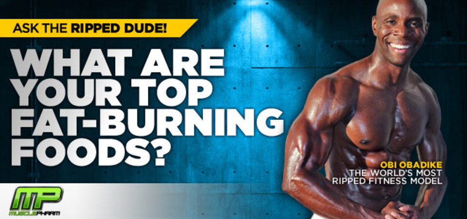 Burn The Fat Feed The Muscle Complaints