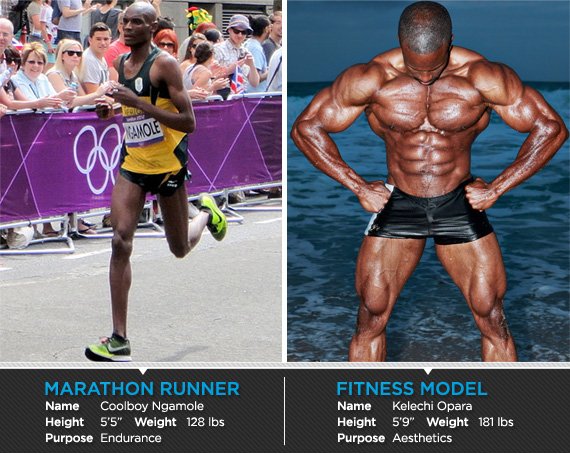 Marathoners and Muscle