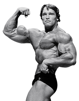 Arnold Schwarzenegger Bodybuilding Blueprint