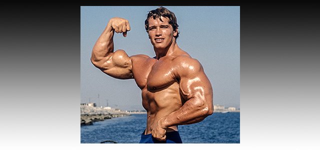 Arnold Schwarzenegger Pro Bodybuilding Profile