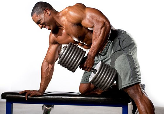 「training muscle」的圖片搜尋結果