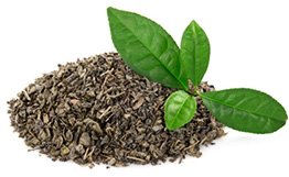 Ultimate Fat Burner Green Tea Ingredients