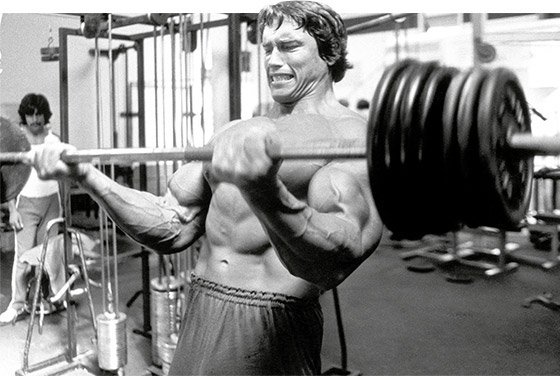 Image result for arnold schwarzenegger biceps