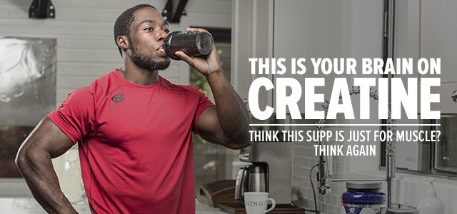 This is Your Brain on Creatine