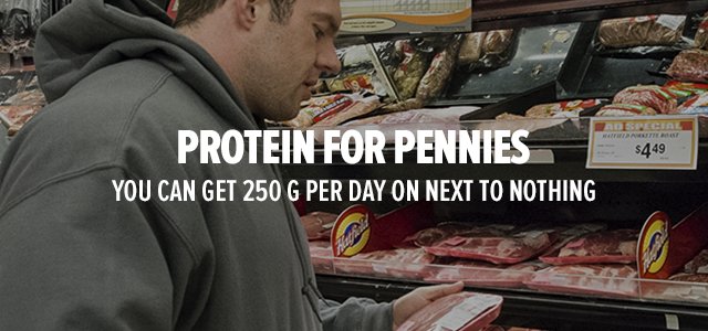 Protein For Pennies