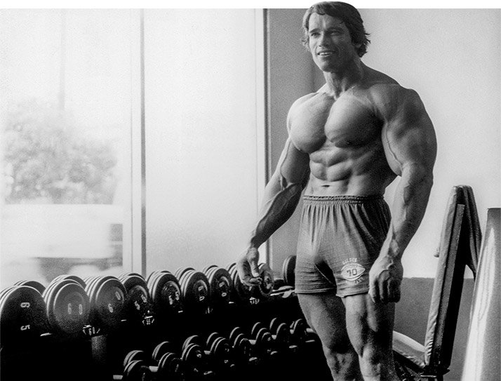 Image result for Arnold Schwarzenegger.