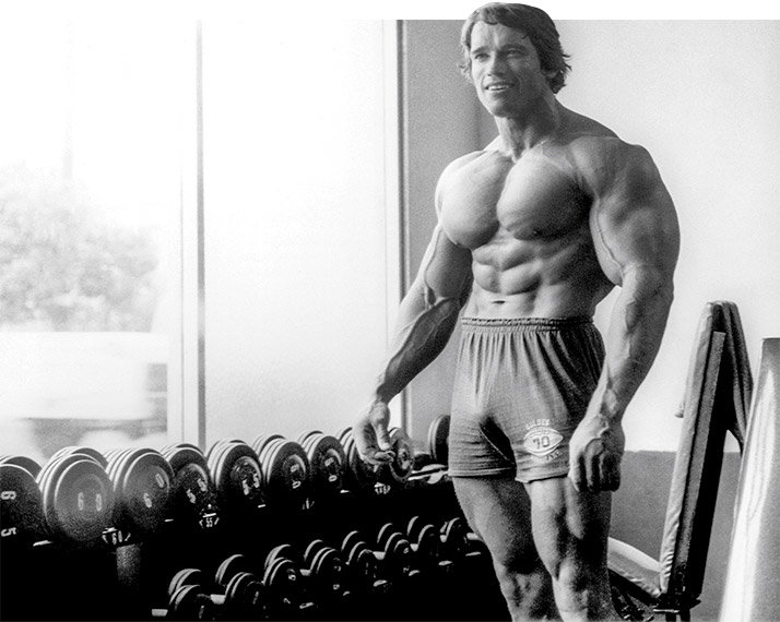 31-arnold-approved-training-tips-graphic