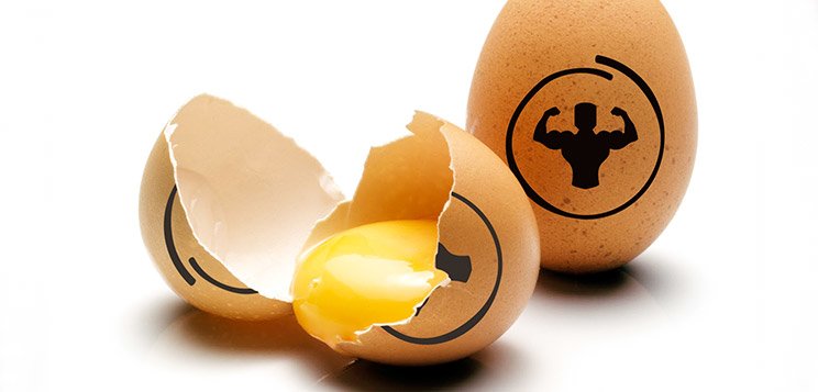 Protein Cracked: Making A Case For The Egg