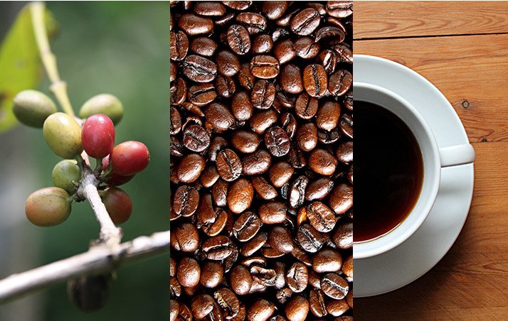 8 Popular Caffeine Sources And How They Differ