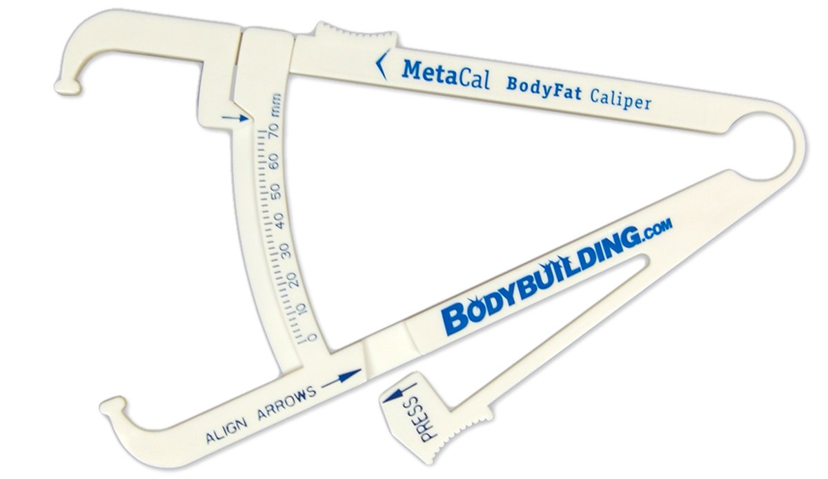 Body Fat Measuring Tool 73