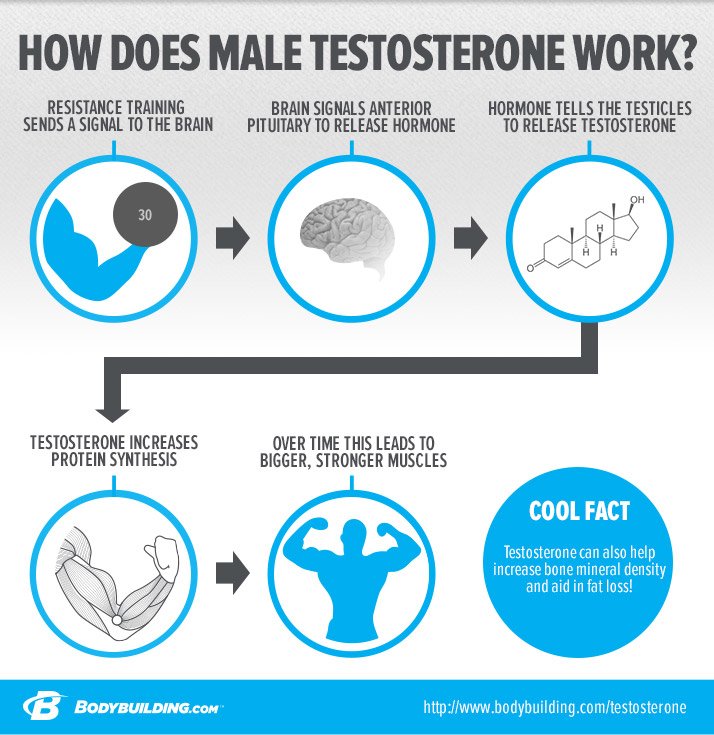 How To Naturally Boost Testosterone Release With Exercise