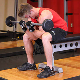 Seated Close-Grip Concentration Barbell Curl thumbnail image