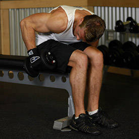 Seated Bent-Over One-Arm Dumbbell Triceps Extension thumbnail image