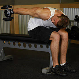 Seated Bent-Over One-Arm Dumbbell Triceps Extension thumbnail image