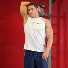 Standing One-Arm Dumbbell Triceps Extension thumbnail image