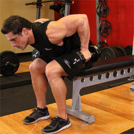 Seated Bent-Over Two-Arm Dumbbell Triceps Extension thumbnail image