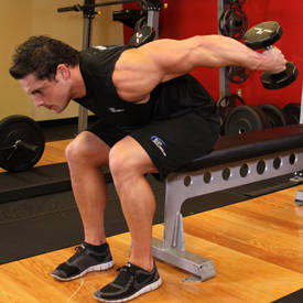 Seated Bent-Over Two-Arm Dumbbell Triceps Extension thumbnail image