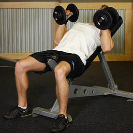 Incline Dumbbell Bench With Palms Facing In thumbnail image