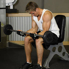 Seated Palm-Up Barbell Wrist Curl