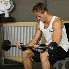 Seated Palms-Down Barbell Wrist Curl thumbnail image