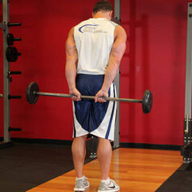 Standing Palms-Up Barbell Behind The Back Wrist Curl