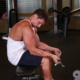 Seated Two-Arm Palms-Up Low-Pulley Wrist Curl thumbnail image