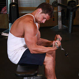 Seated Two-Arm Palms-Up Low-Pulley Wrist Curl thumbnail image