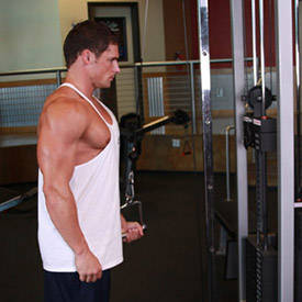 Cable One Arm Tricep Extension
