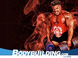 IFBB Pro Bodybuilder Andy Haman!