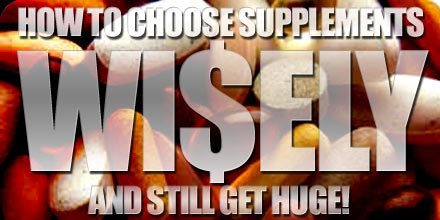For The Bodybuilder - How To Choose Supplements Wisely And Still Get Huge.