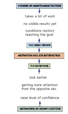 Figure 2: Representation Of Herzberg's Two-Way Factor Theory Applied To A Fitness Goal. The Satisfiers Should Weigh More In Order To Stay Motivated.