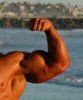 Your Quest To Building Mountain Peak Biceps!