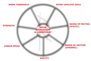 Renegade Training Wheel Of Conditioning.