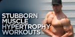 Stubborn Muscle Hypertrophy Workouts (Chapters 1-3)