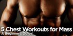 5 Chest Workouts For Mass - A Beginner's Guide!