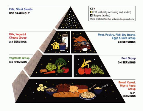 The Original Food Pyramid From The USDA.